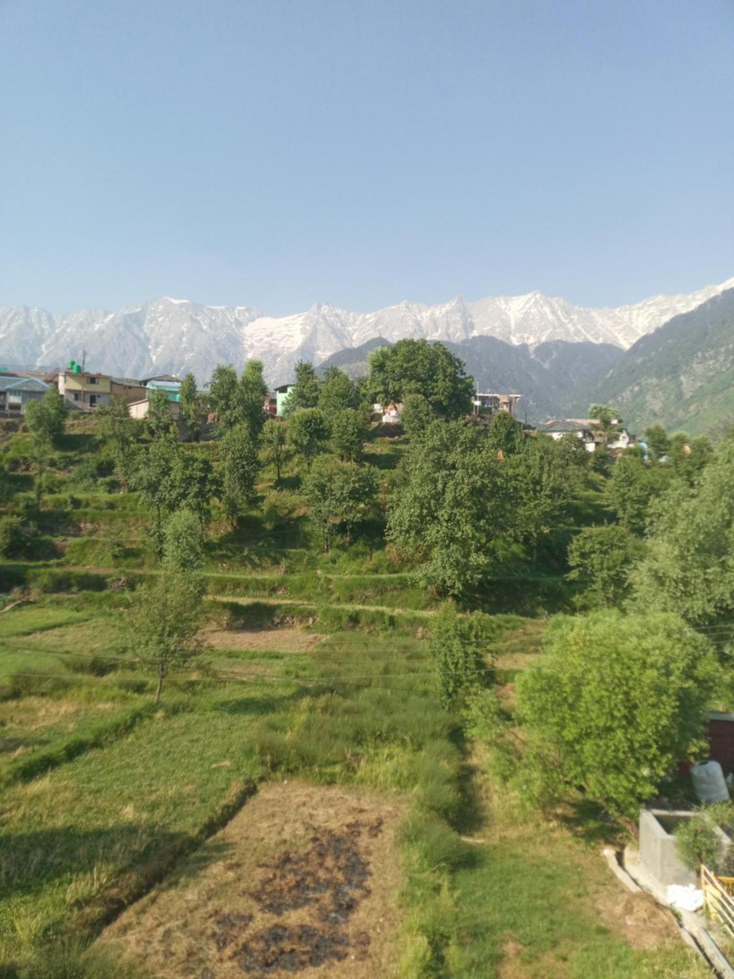 Nirmal Homestay Dharamshala Bilik gambar