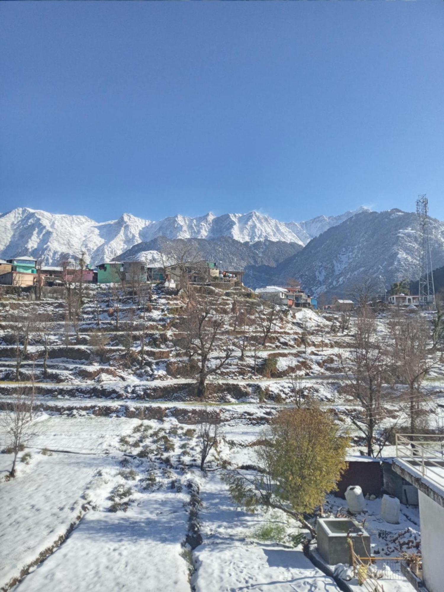 Nirmal Homestay Dharamshala Luaran gambar
