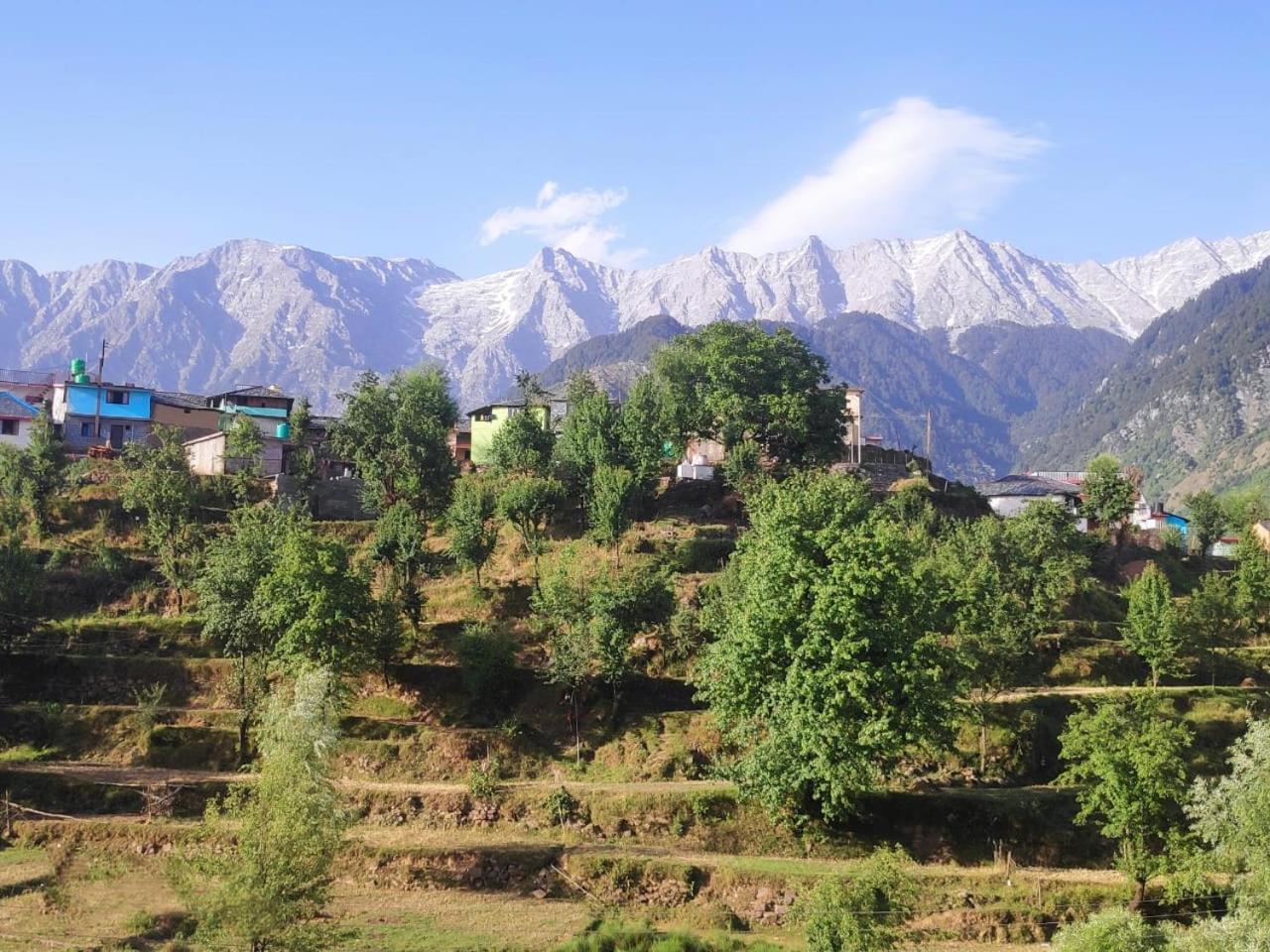 Nirmal Homestay Dharamshala Luaran gambar